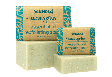 Seaweed Eucalyptus Mini Soap