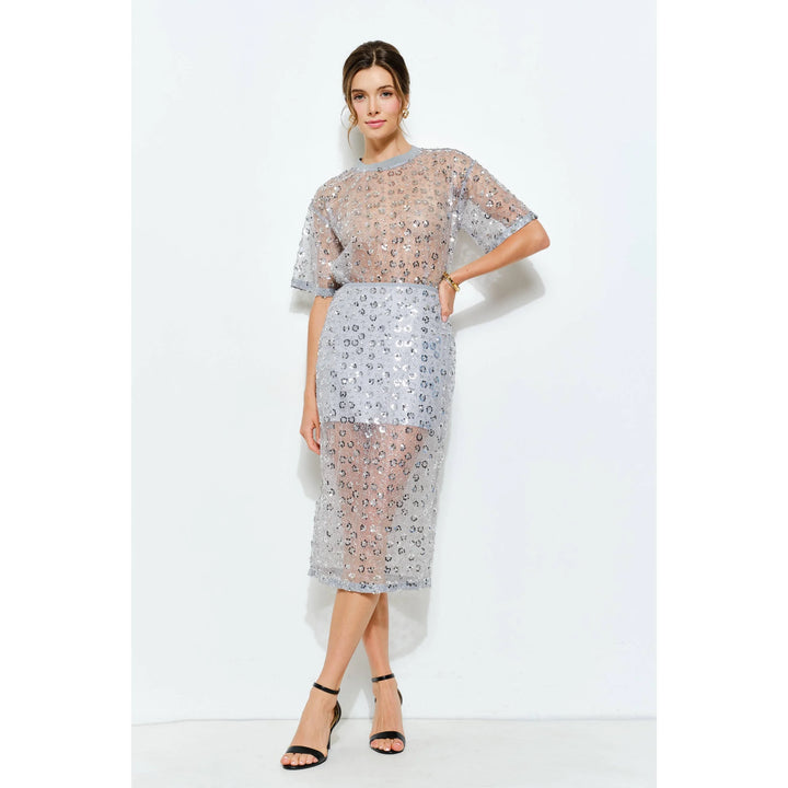 Slate blue floral sequin mesh midi skirt styled with matching sheer sequin top