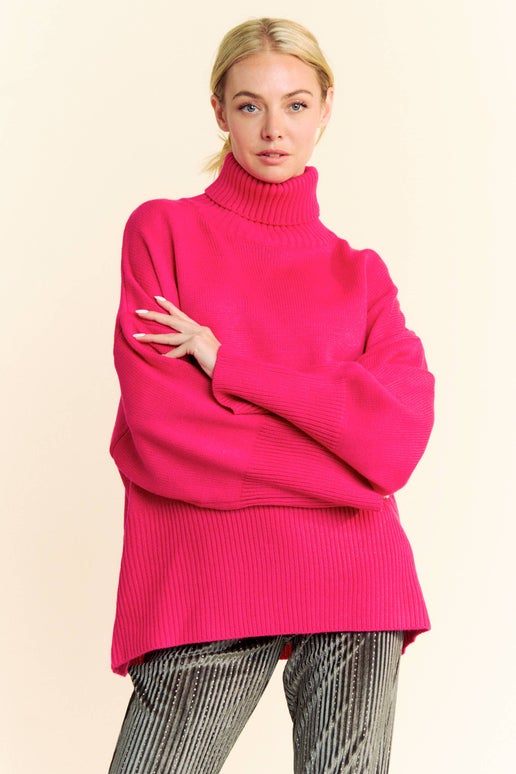 Rumor Long Sleeve Turtle Neck Sweater