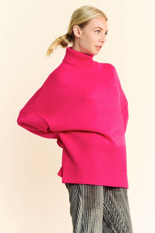 Rumor Long Sleeve Turtle Neck Sweater